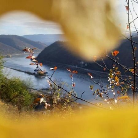 Ferienhaus Am Rheinsteig Kaub Esterno foto