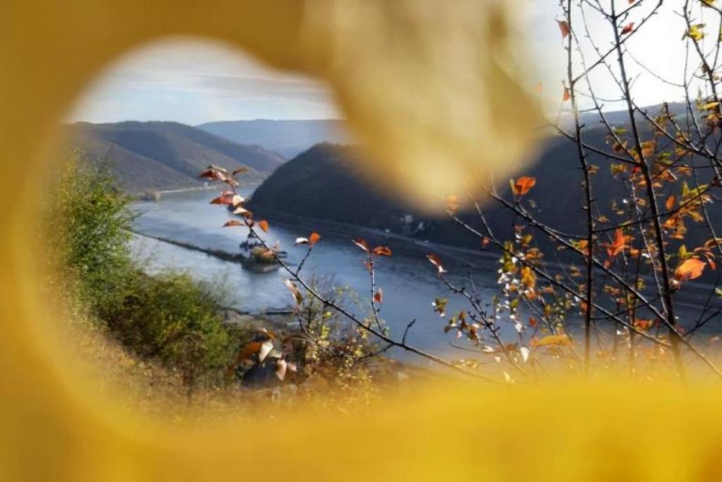 Ferienhaus Am Rheinsteig Kaub Esterno foto